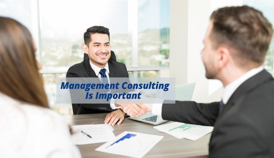 why-management-consulting-is-important-for-your-business