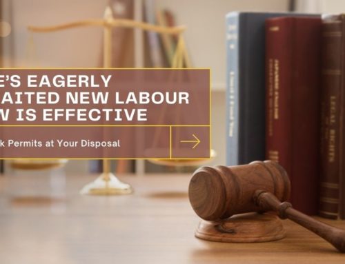 UAE’s Eagerly Awaited New Labour Law Is Effective: 12 Work Permits at Your Disposal