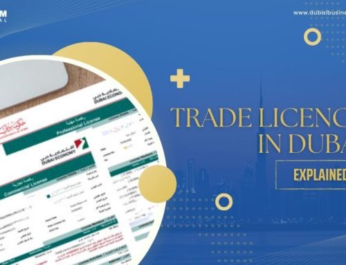Trade Licence in Dubai Explained